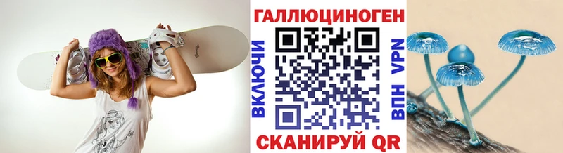 omg   Мценск  Псилоцибиновые грибы Psilocybe  где можно купить наркотик 